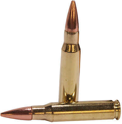 223 Remington 20 Rounds Ammunition Sig Sauer 55 Grain Full Metal Jacket