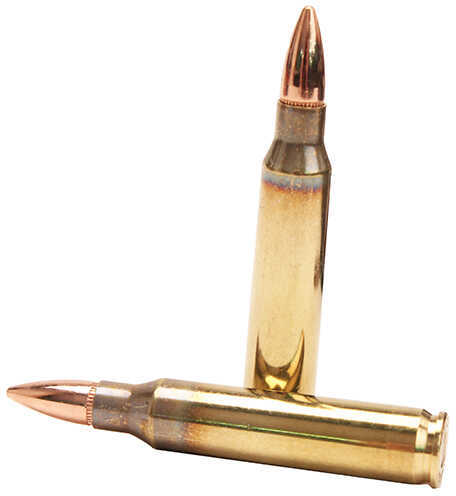 223 Remington 50 Rounds Ammunition Fiocchi Ammo 55 Grain Full Metal Jacket