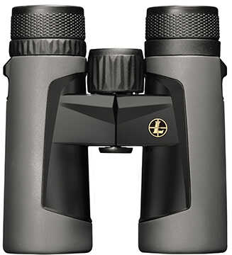 Leupold BX-2 Alpine Binocular 10x42mm, Roof Prism, Shadow Gray