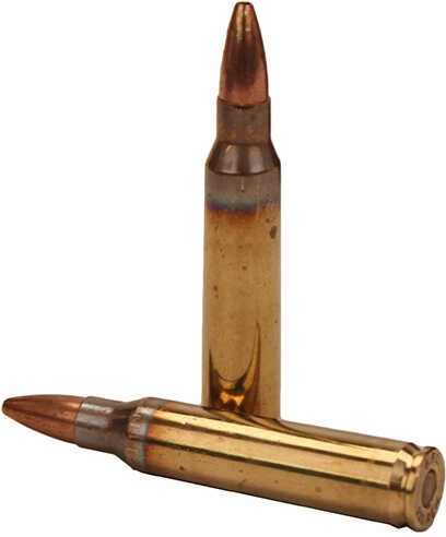 223 Remington 50 Rounds Ammunition-img-2