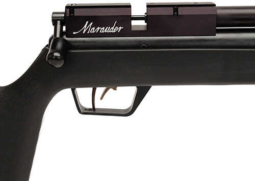 Benjamin Sheridan Marauder .25 Caliber Synthetic-img-2