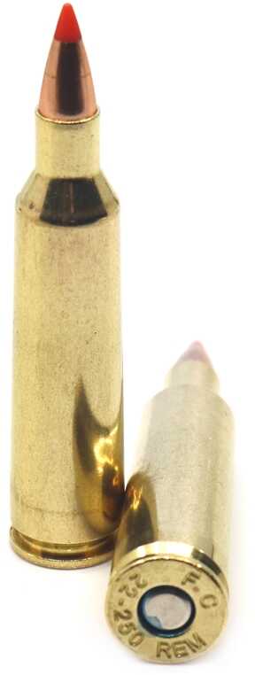 22-250 Remington 20 Rounds Ammunition Federal Cartridge 55 Grain V-Max