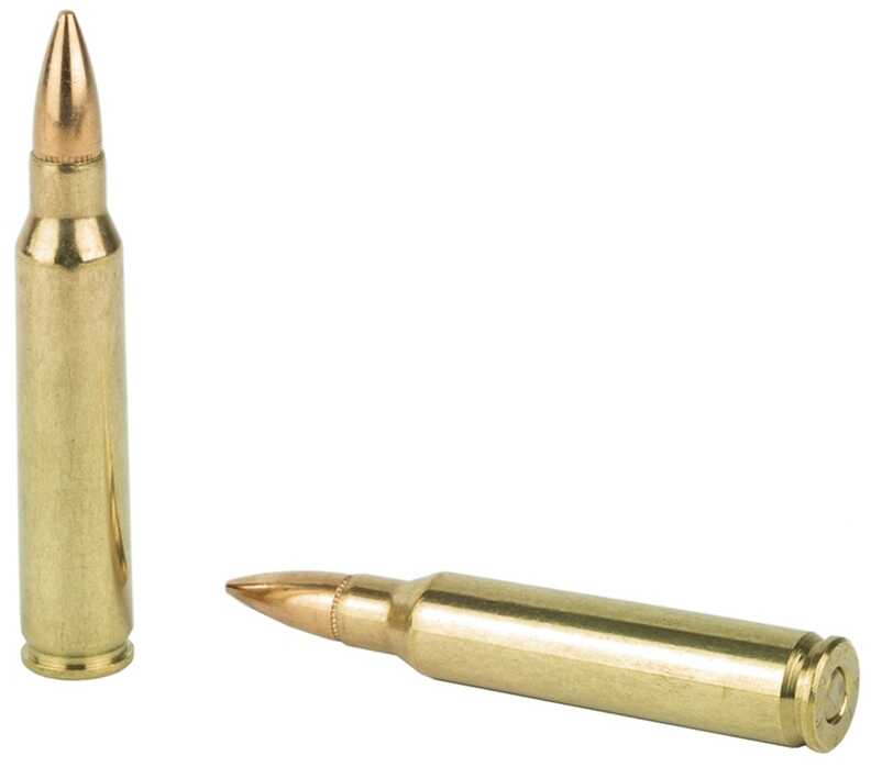 223 Remington 20 Rounds Ammunition 62 Grain TSX