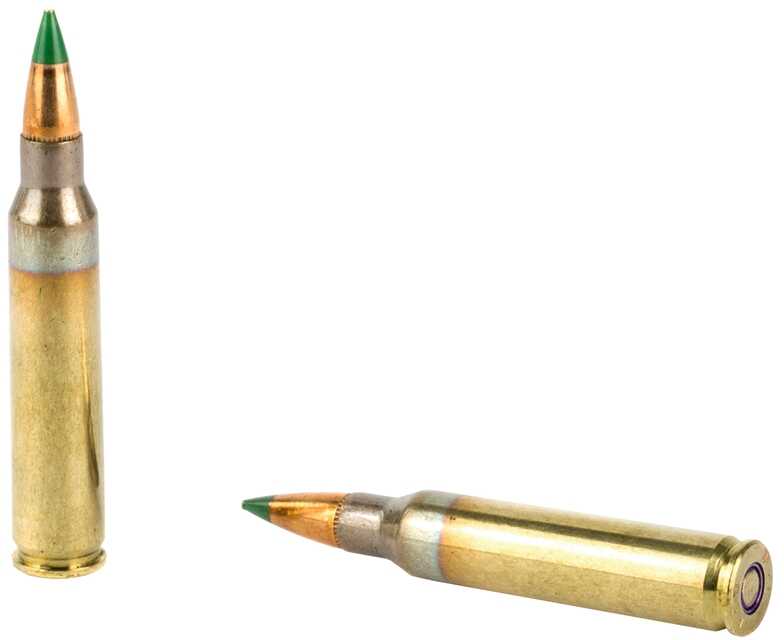 5.56mm Nato 475 Rounds Ammunition Federal Cartridge 62 Grain Full Metal Jacket Boat Tail