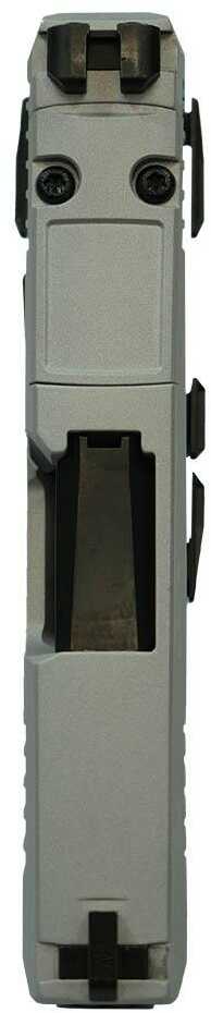 Sig Sauer "Silver Slide/Tiffany Frame"P365 Optic Ready Handgun 9mm Luger 10Rd Magazines(2) 3.1" Barrel X-Ray 3 Sights Ma