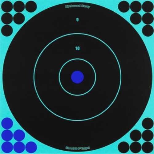 Birchwood Casey Shoot-N-C Targets: Bull's-Eye Per 100 34070