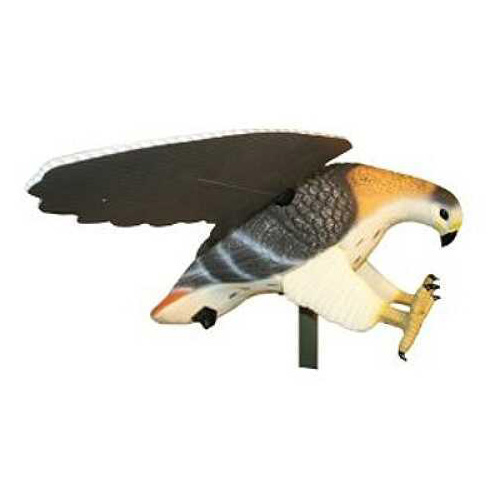 Mojo Decoys Hawk HW4310