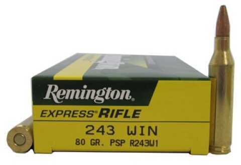 243 Winchester 20 Rounds Ammunition Remington 80 Grain Soft Point