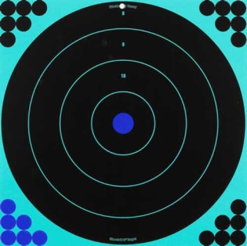 Birchwood Casey Shoot-N-C Targets: Bull's-Eye 17.25", Per 100 34170