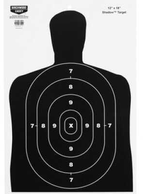 Birchwood Casey Eze-Scorer Target BC-27 12x18 100 Targets 37005