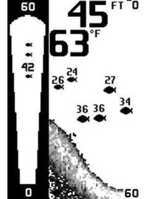 Humminbird Fishin Buddy 120 407120-1