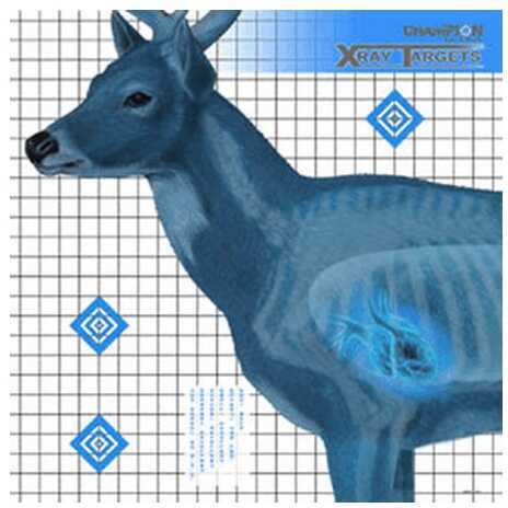 Champion Traps & <span style="font-weight:bolder; ">Targets</span> Deer X-Ray 25X25 6/Pack 45902