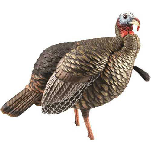 Avian X HDR Jake Decoy Model: AVX8105