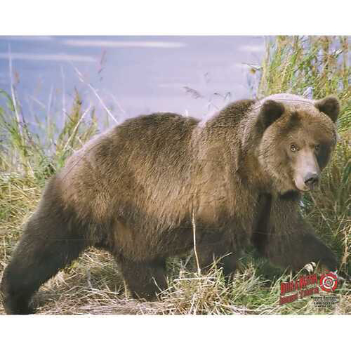Duramesh Archery Target Grizzly Bear 25 in. x 32 in. Model: DM203
