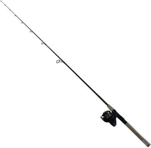 Daiwa Bg Saltwater 1 Piece 6+1 7' Spin Combo