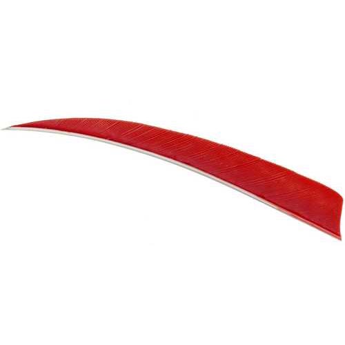 Trueflight Shield Cut Feathers Red 4 in. RW 100 pk. Model: 11603