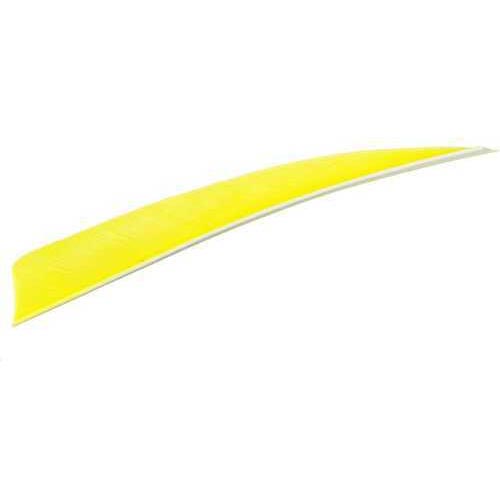 Trueflight Shield Cut Feathers Chartreuse 4 in. LW 100 pk. Model: 1613