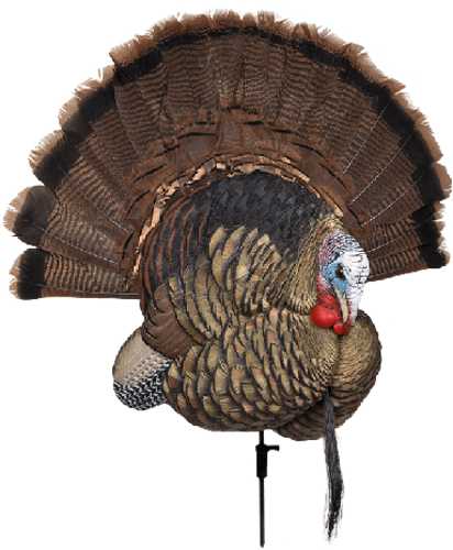 Avian X Trophy Tom Decoy-img-0