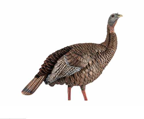 Avian X HDR Hen Decoy-img-0