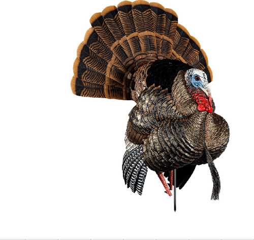 Avian X HDR Strutter Decoy-img-0