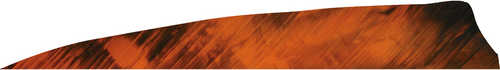 Gateway Shield Cut Feathers Tre White/Orange 4 in. RW 50 pk.