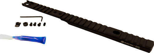 XS Lever Rail Henry .45-70-img-0