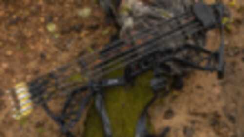 Bear Archery Legit RTH Compound Bow Extra RH70 Mossy Oak Country Dna