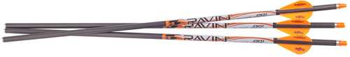 RAVIN R339 RAVIN ARROWS 400Gr. 3 Pk .001
