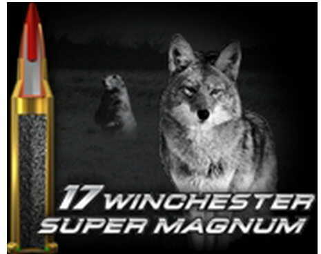 Winchester 17 WSM Ammunition Super X, 20 Grains JHP (Per 50) X17W20
