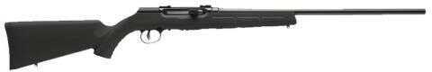 Savage Arms Rifle A22 Magnum Semi Auto 10 Round 21 Barrel Black Finish Stock