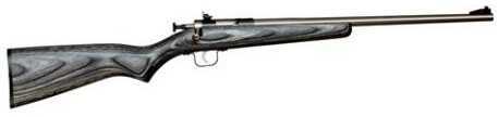 Crickett Rifle G2 22 Long Stainless Steel Black Laminate Bolt Action KSA2270