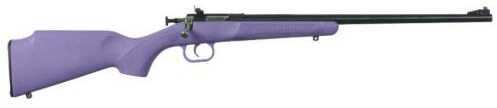 Crickett Rifle 22 LR 16.13" Blued Barrel Purple Synthetic Stock-img-0
