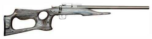 Chipmunk Rifle 22LR Stainless Steel Black Barracuda And Gray Laminated Stock