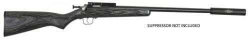 Crickett 22 BL/Black Laminated Single Shot 16.125" Threaded Barrel 22 LR (Suppressor Not Included) KSA2123