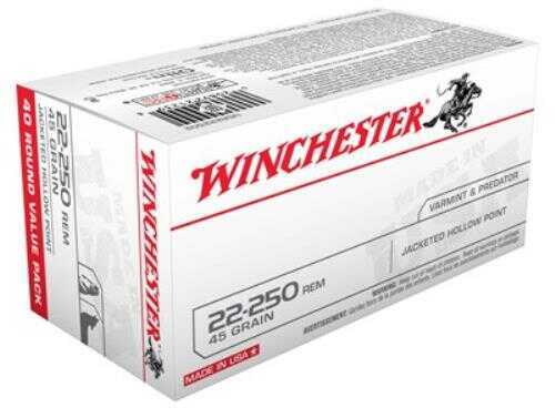 22-250 Remington 40 Rounds Ammunition Winchester 45 Grain Hollow Point