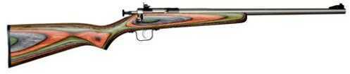 Crickett Single Shot Rifle 22 LR 16.125" Barrel Camo Laminated Stock Stainless Steel Bolt Action Md: KSA3252