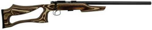 CZ USA Rifle CZ455 Varmint SS Evolution 22LR 20.5" Heavy Barrel 5 Rounds Coyote Laminate Thumbhole Special Grip Stock