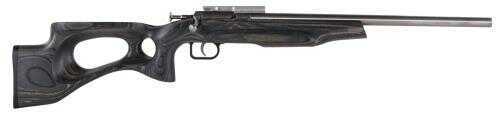 Crickett 22 Long Rifle Target Thumb hole stock Black Model KSA2644