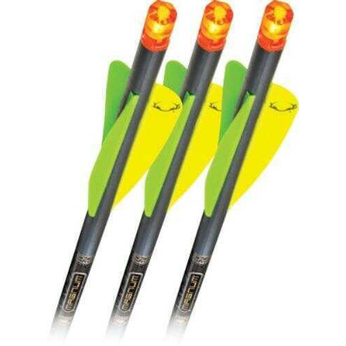 TenPoint Crossbow Technologies Omni-Brite 2.0 Lighted Arrow 22" Carbon Pro-V, 3 Pack Md: HEA-528.3