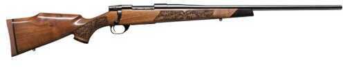 Weatherby Lazerguard 243 Winchester Barrel Gloss AA Walnut Finish Bolt Action Rifle