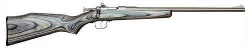 Chipmunk Rifle 22LR Stainless Steel Black Laminated Stock 16.3" Barrel