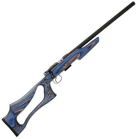 CZ USA 455 Varmint Evolution 17 HMR Rifle 20.5" Barrel 5 Round Blue/Gray Hardwood Laminate Bolt Action 02144