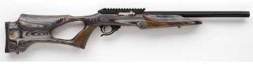 Tacsol X-Ring VR Bolt Action Rifle 22 Long 16.5" Barrel Matte Black with Vantage RS Slate Stock