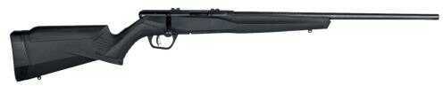 Savage Arms B17 F Rifle 17 HMR 21" Barrel Synthetic Stock With 10 Round Rotary Mag