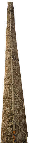 Summit Treestands Climbing Stick 22" Swiftree DTS Md: SU82051