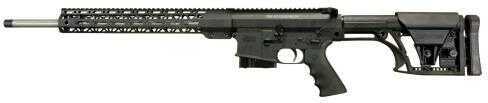 Windham Weaponry 65 6.5 Creedmoor 20" Barrel 5 Round Luth-AR Adjustable Stock Black Finish Bolt Action Rifle R20FSFSL