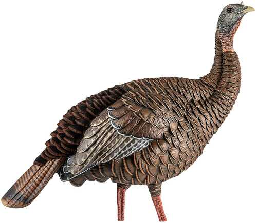 Avian-x Hdr Hen Decoy