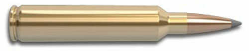 28 <span style="font-weight:bolder; ">Nosler</span> 20 Rounds Ammunition 160 Grain Ballistic Tip