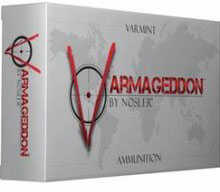 Nosler 243 Winchester 55 Gr HP Ammo - 20 Rounds for Varmint Control