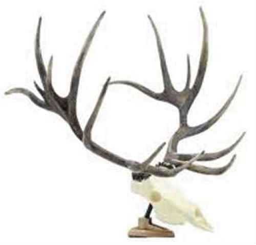 Click to see larger image. Signature Products Group SPG Apparel Big Rack Shedz Elk Raxx Figurine BRVFG1007